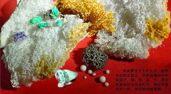 有些人,比猪还笨!【摧邪显正】-图片2
